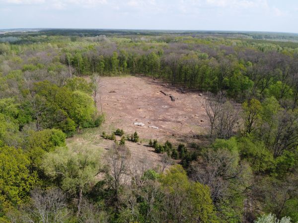 Cedar Rapids Land Clearing